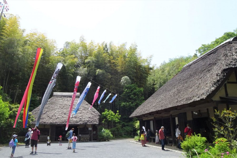 🌳 마이오카 공원 (舞岡公園) 이미지 3